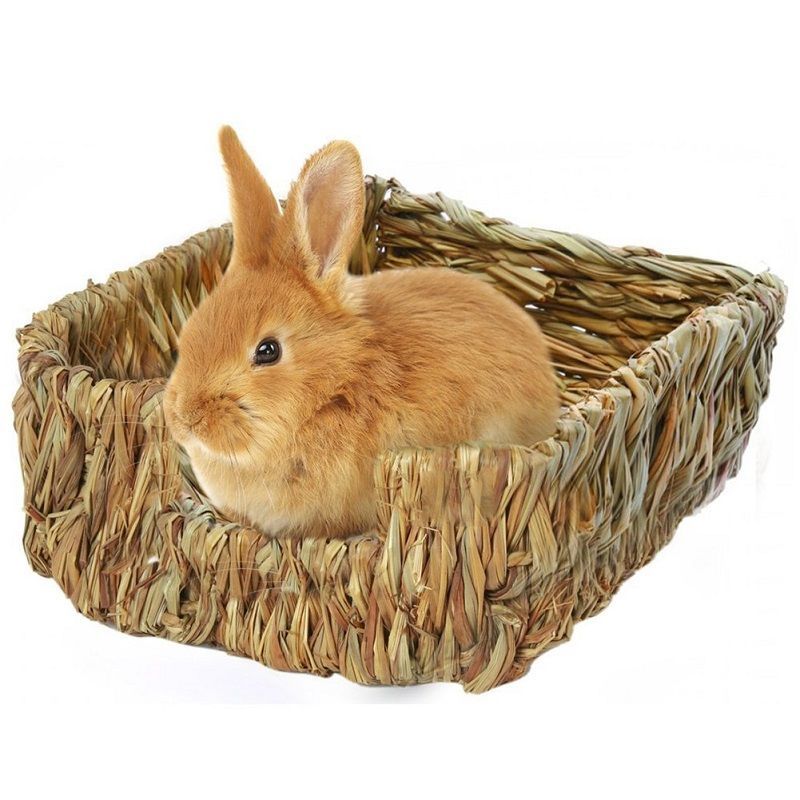 comprar cama para conejo