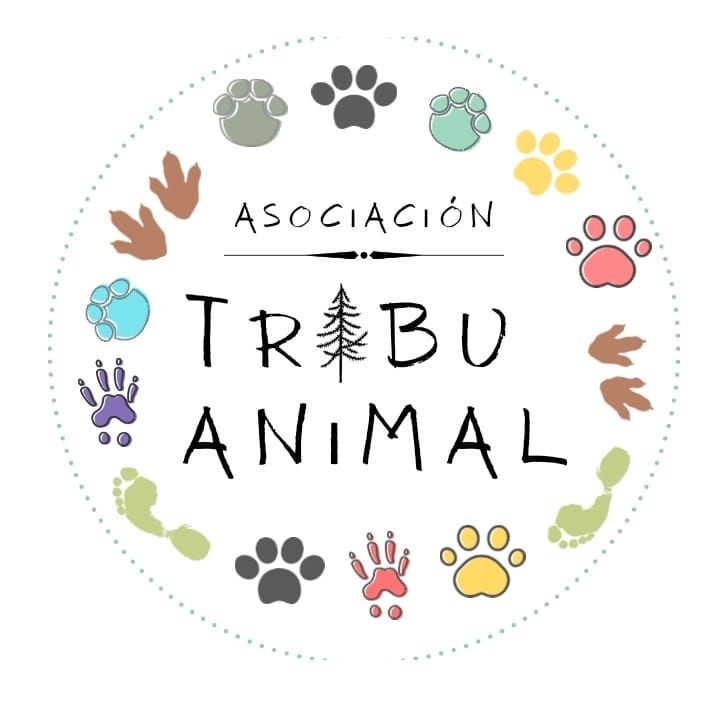 Protectora de animales Asturias