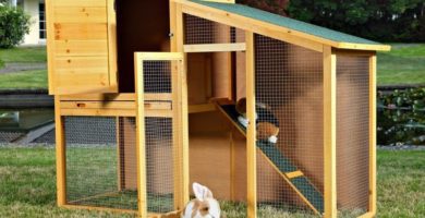 jaulas de madera para conejos