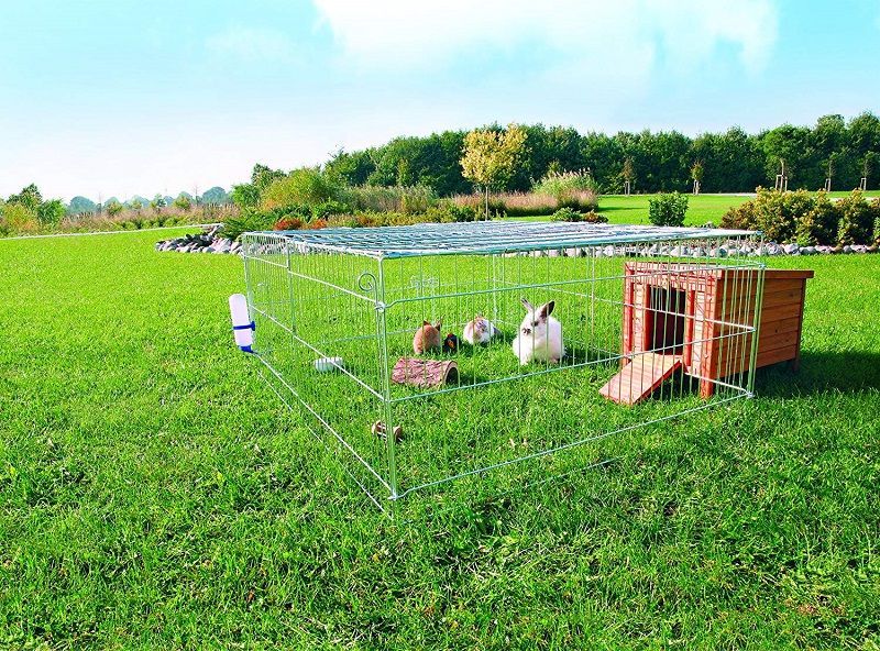 Recinto exterior y jaula para conejos