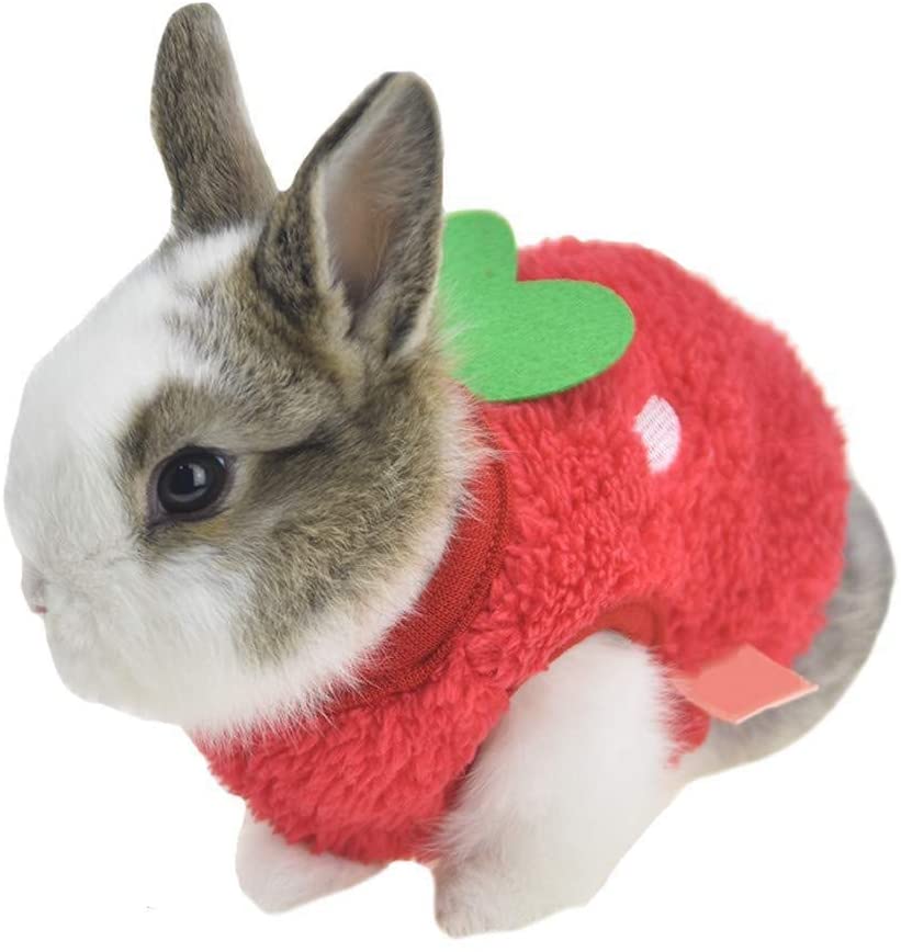 disfraz para conejo